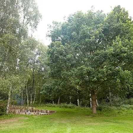 호텔 Kysthotellet 3*